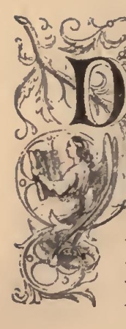 9063 
