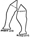 Fig. 328. Fig. 329.