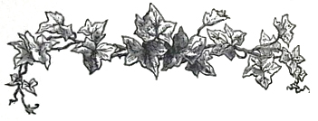 image015