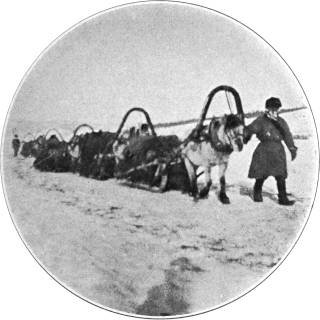 sledging