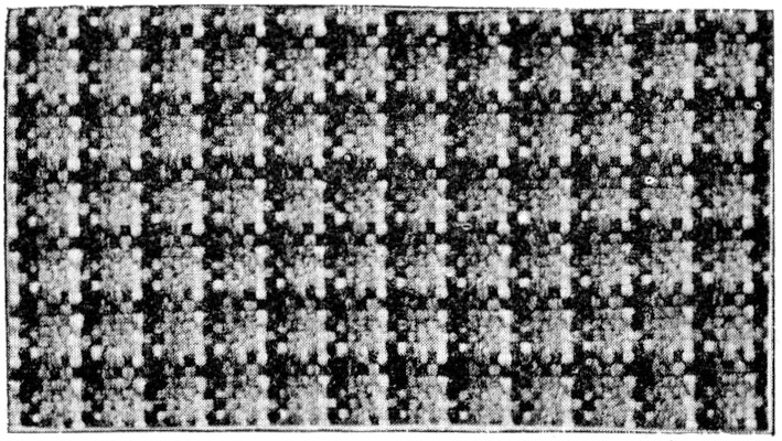 Irregular Fig 96